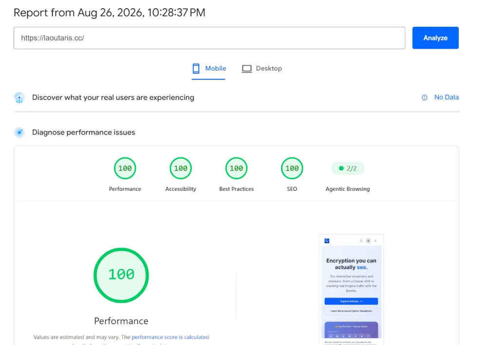 PageSpeed Insights 100% score for the Interactive Cryptography Visualizer