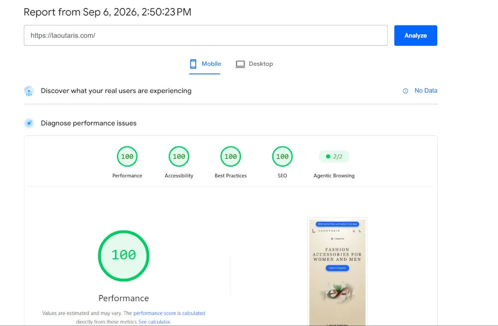 PageSpeed Insights mobile score of 100 for laoutaris.com rebuilt on Astro