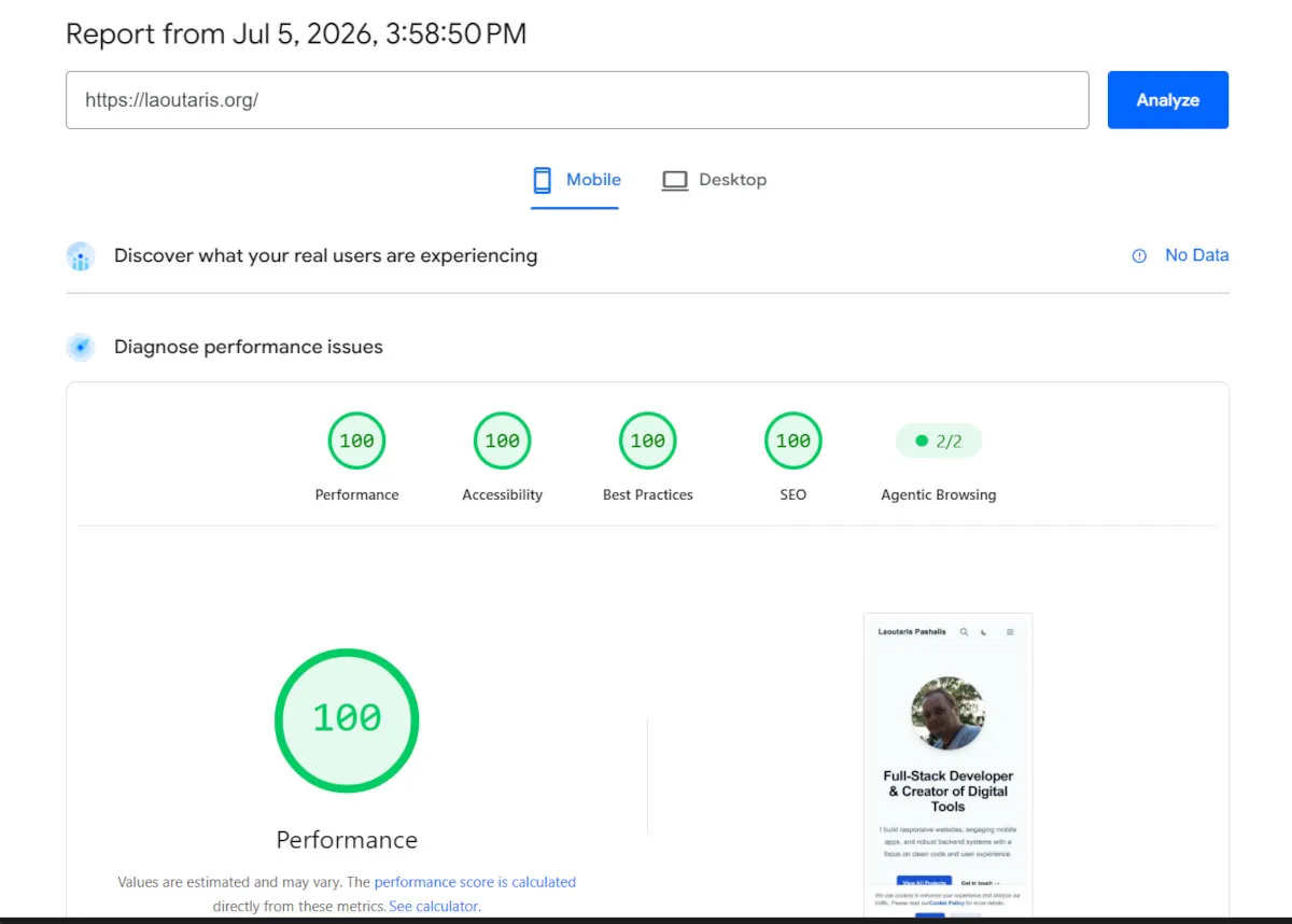 PageSpeed Insights 100% Score